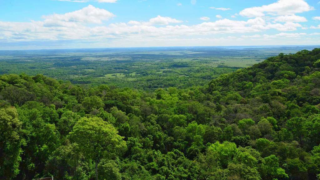 Posada del Chamán Iguazú Puerto Iguazú Esterno foto