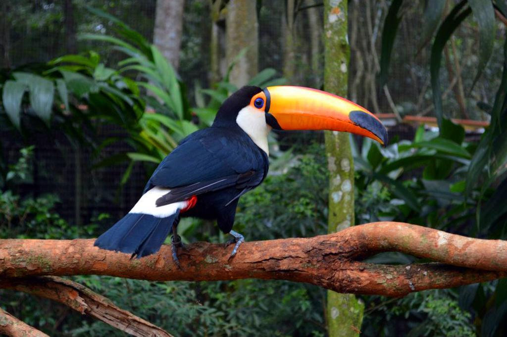 Posada del Chamán Iguazú Puerto Iguazú Esterno foto